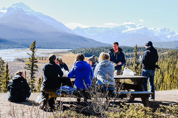 Maximizing Comfort and Space: The Perfect Length of Park Picnic Tables